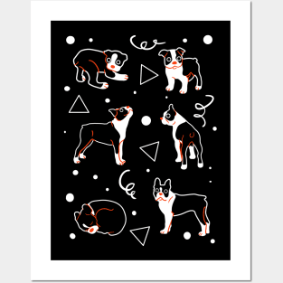 Boston Terrier Puppies Posters and Art